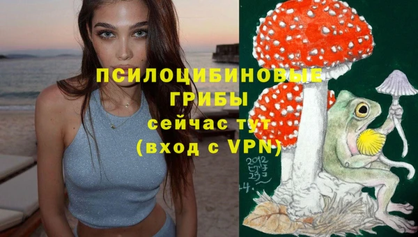 дживик Балахна