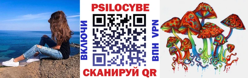 hydra ссылки  Пущино  Галлюциногенные грибы Magic Shrooms 